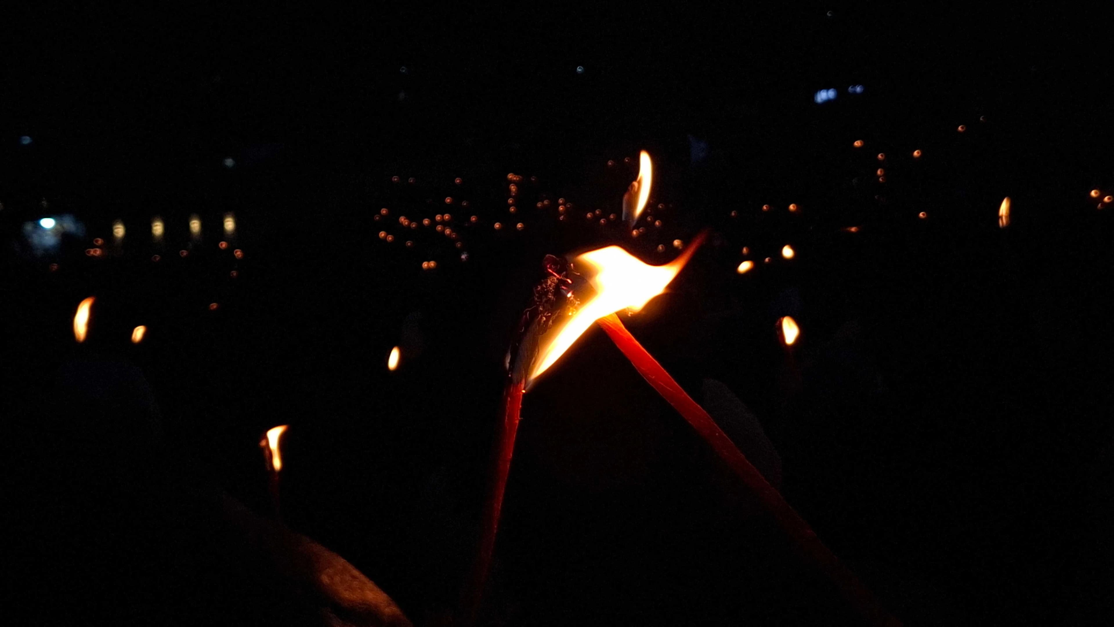 Photograph 14