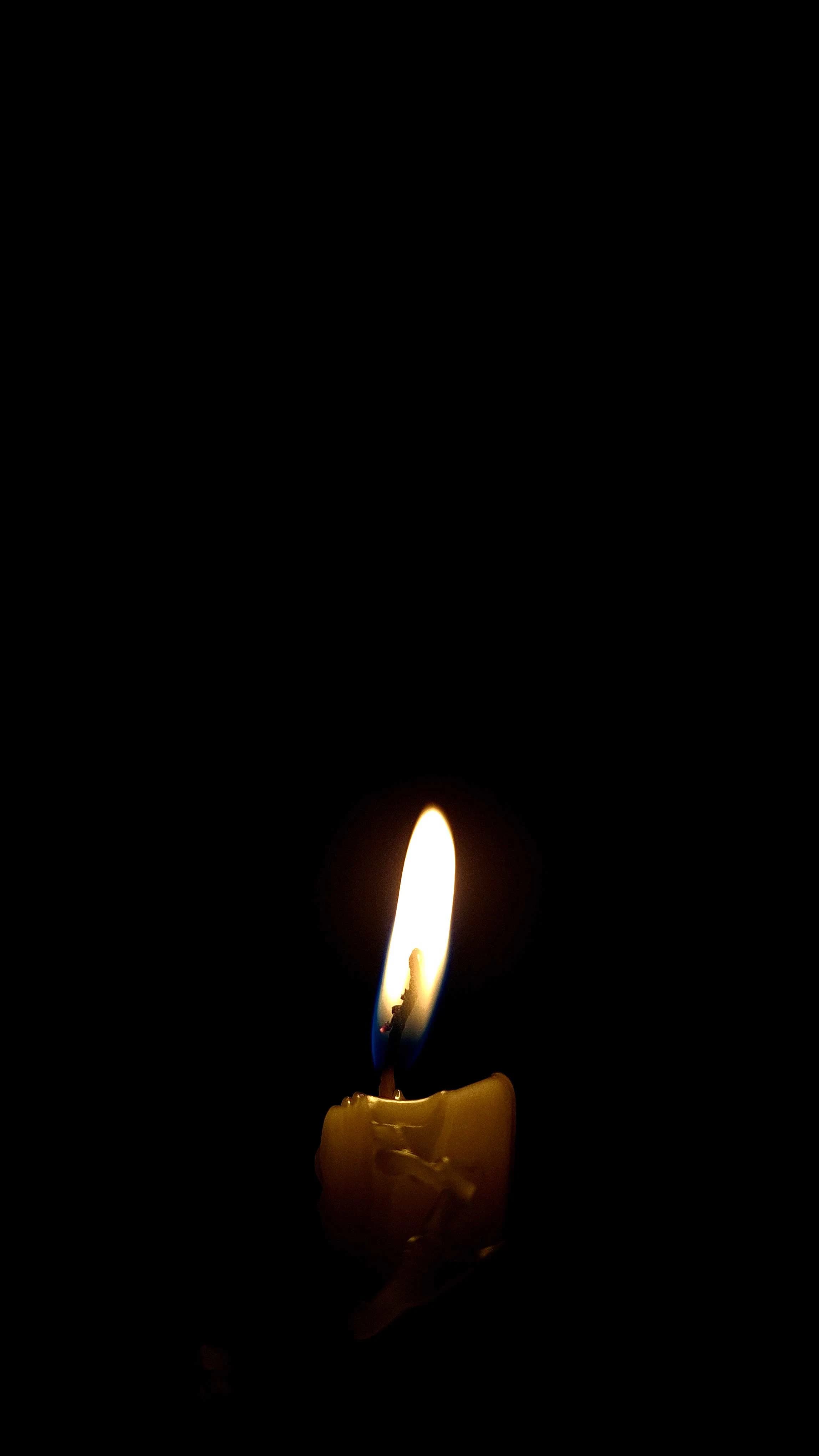 Photograph 41