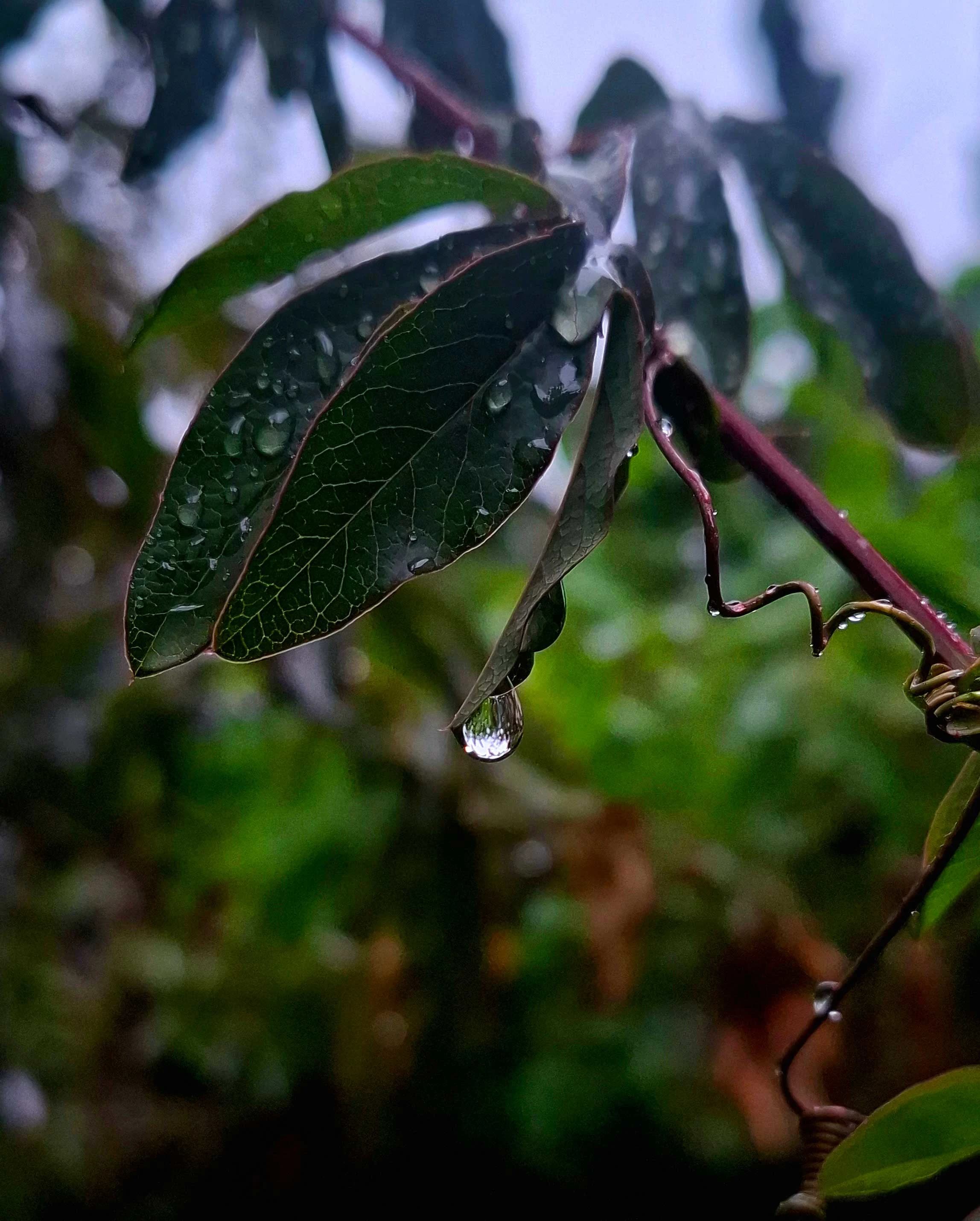 Photograph 46